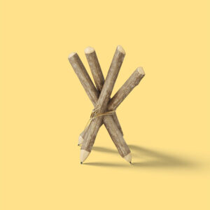 Wood Pencil Wood Pencil